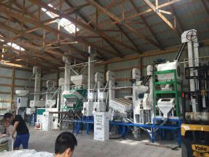 Quality Food Machinery Combined 50 Tons Per Day Parboiled Rice Mill wholesale
