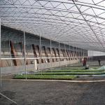 Full Payment Juxiang prime s Illuminate Sunlight Greenhouse for Tomato Film