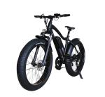 48V 500W 750W Electric Fat Tire Bike 26x4 Fat Enduro Electric Bicycle With LCD