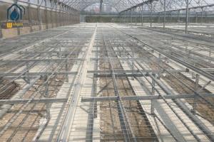Quality Agriculture Greenhouse Clone Seed Rolling Bench Grow Tables Welded Mesh Galvanized wholesale