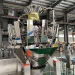 Sticky Food Multihead Weigher For Fruit Snacks Gluten Croutons Banana Chips