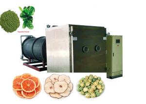 Quality 300Kg Large Food Vegetable Freeze Dryer Remote Control wholesale