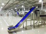 Low Cost Food Bag Transfer Inclined Vertical Belt Conveyor Price for Food