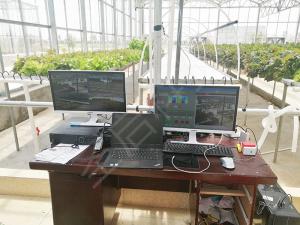 Quality Premium PC Sheet Sustainable Greenhouse , Forest Garden Greenhouse Multi Span Type wholesale