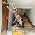 Waterproof Fiberglass Dinosaur Skeleton Replicas For Museum Exhibition
