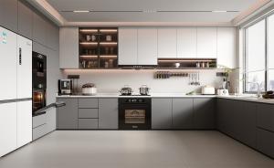 Quality Customized Melamine Lacquer Furniture With Quartz Countertop Kitchen Cabinet wholesale