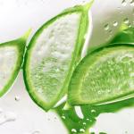 Natural Aloe Vera Teeth Whitening Toothpastes Home Pearl White Natural Chamomile