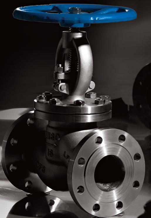 ANSI Class 150 Wcb Globe Valve (J41H-150LB)