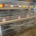 Q235 A Type 3 Tiers Pullet Chicken Cage Silver Galvanized Adela