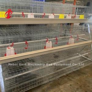 Quality Q235 A Type 3 Tiers Pullet Chicken Cage Silver Galvanized Adela wholesale