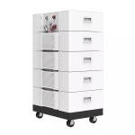 51.2v 200ah Home Battery Pack 100Ah High Voltage Hybrid Pack