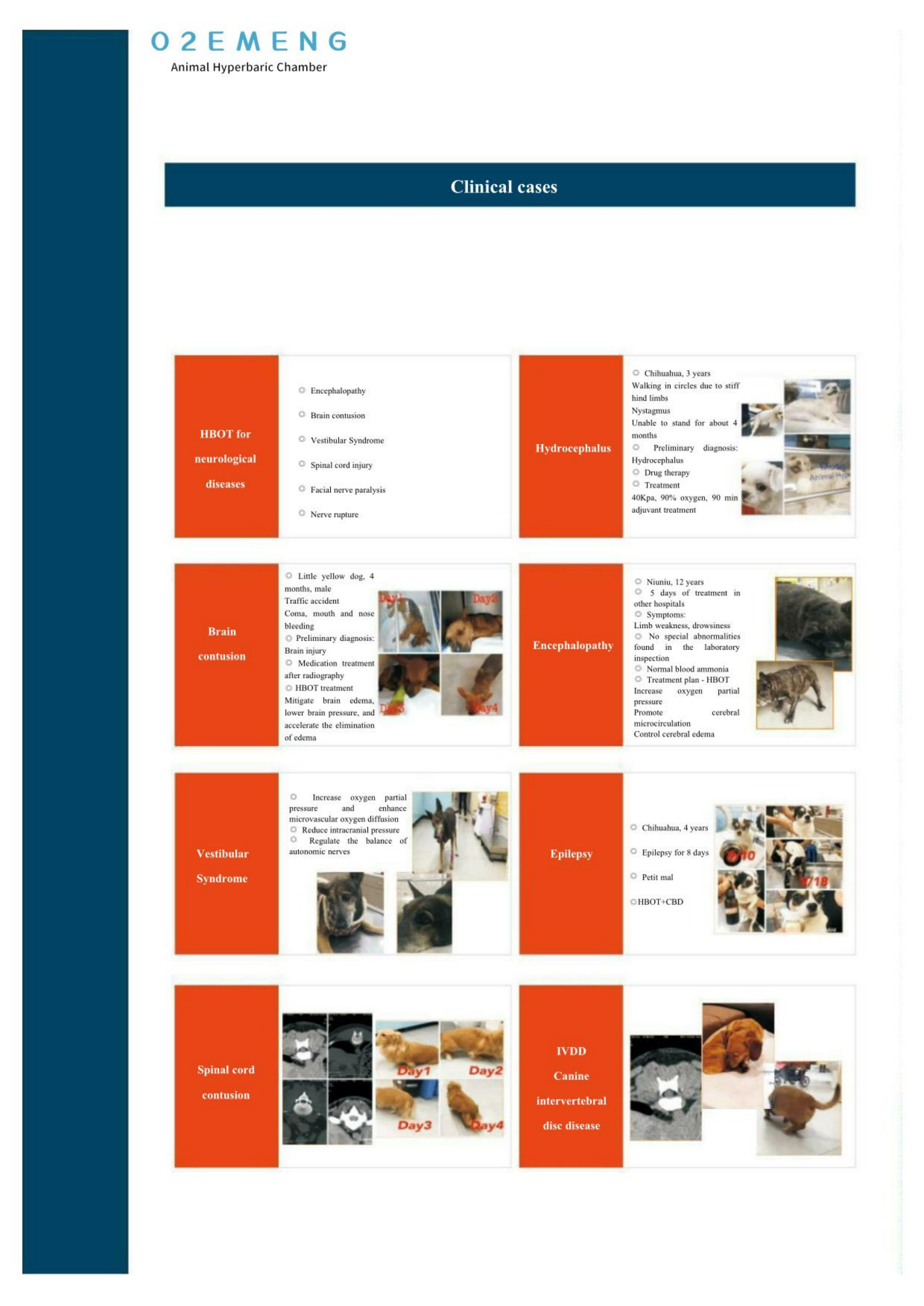 450kg animal Hyperbaric Oxygen Chamber for Efficient Oxygen Therapy
