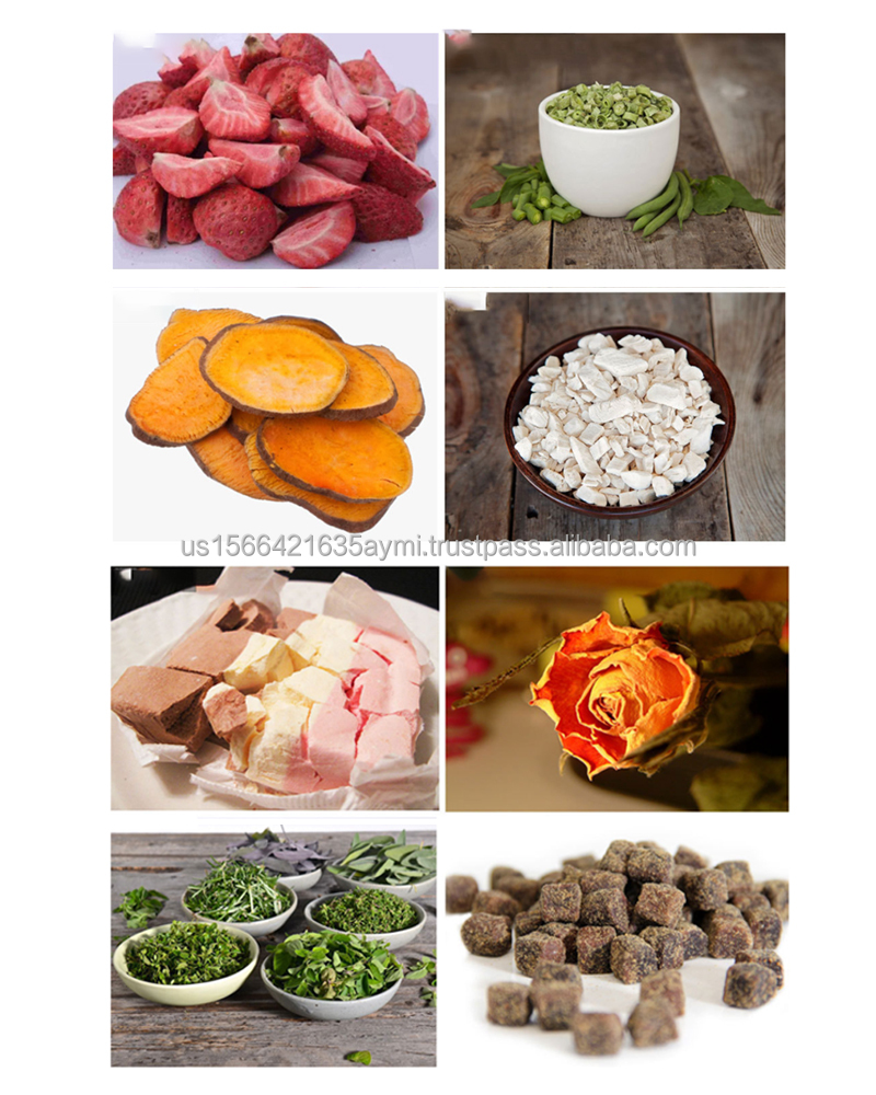 Vacuum Freeze Dryer Lyophilizer Machine Household Freeze Dryers Lab Freeze Dryer