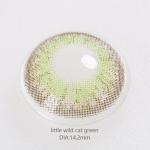 Little Wild Cat Brown Green Amber Contact Lenses Blue Prescription Contacts