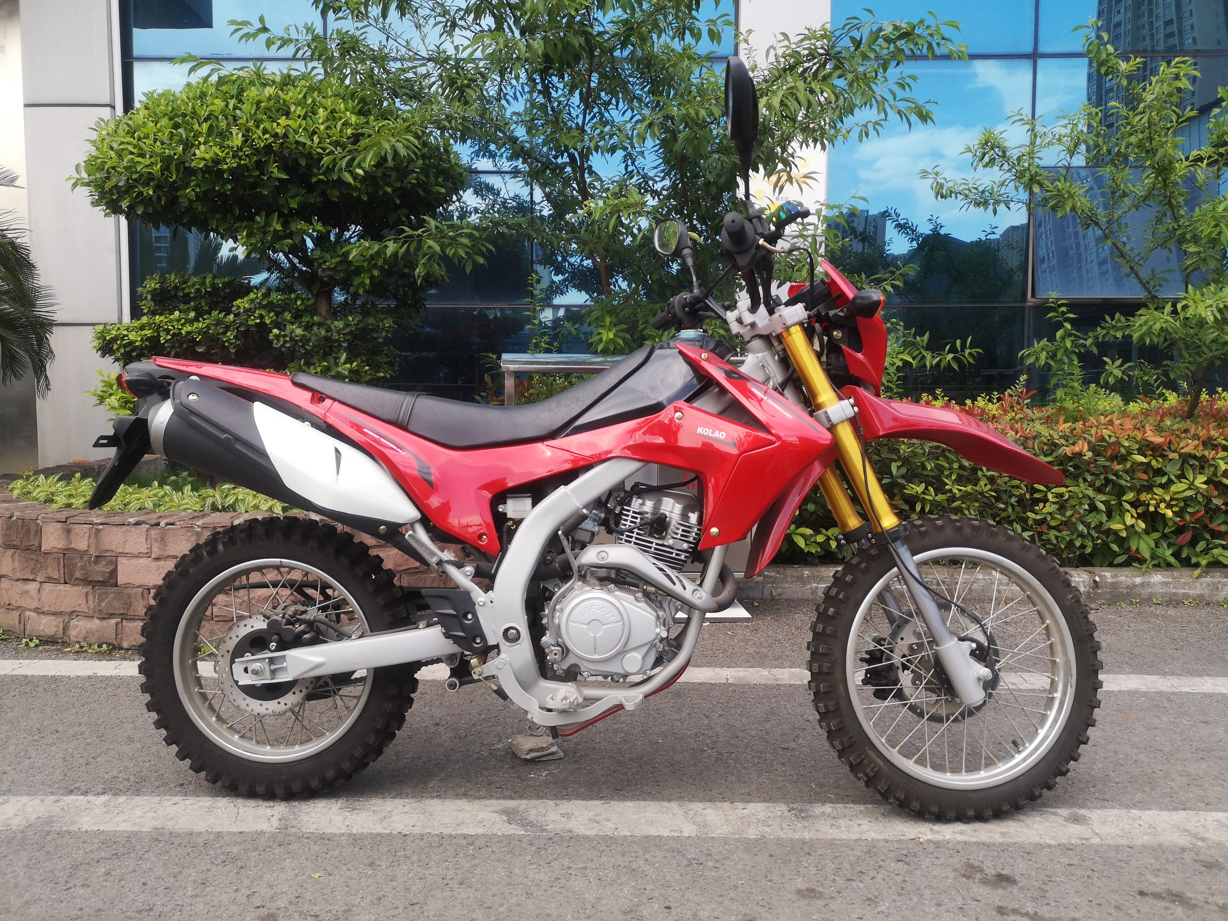 Kick Starter Gas Powered Motorbike Racing Dirt Bike 250cc Weather Proof