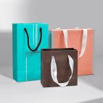 Ribbon Accessories Custom Logo Paper Handbag for Retail Shopping Gift Packaging