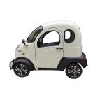 72V 38Ah Enclosed Electric Four Wheeler Car 2500w 40km/H