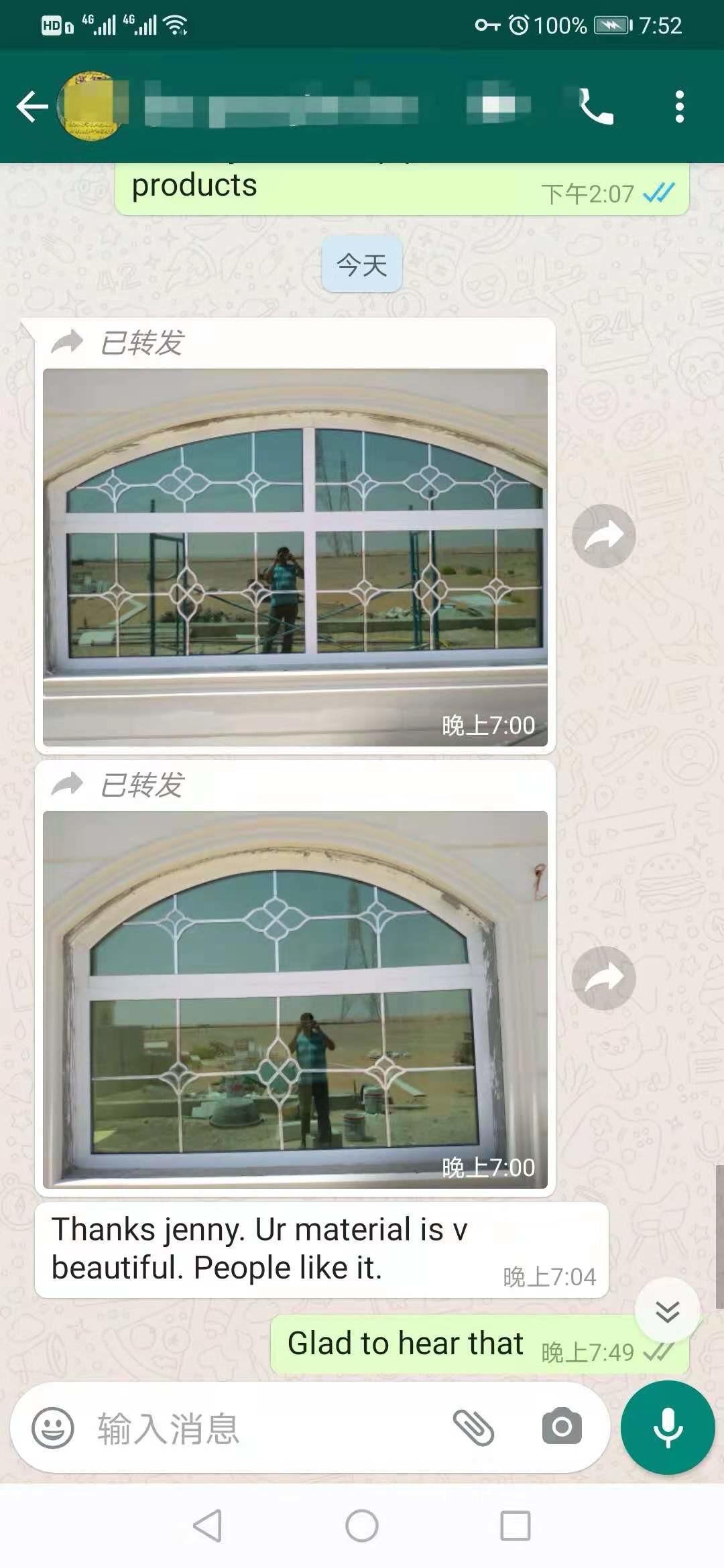 Electroplate window grille inserts geogian bar flower decorate bar for insulating glass window and door