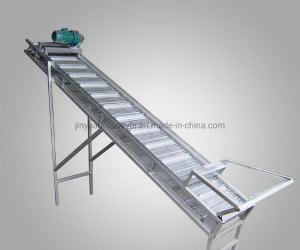 Quality Steel Roller Belt Conveyor System for Carton/Box Transfer wholesale