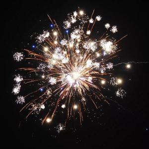 Quality Wholesale Outdoor Pyro 1000G Cake Fireworks 2 Inch 56 Shots Wedding Celebration 1.4 Pro Fireworks wholesale