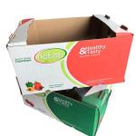 Durable Thickened Corrugated Box For Fruits , Multifunctional Tomato Packing