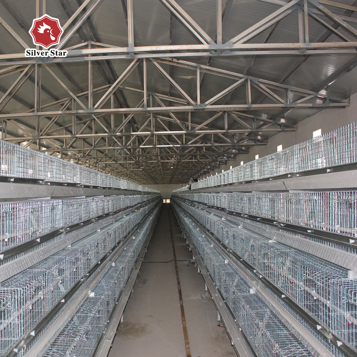 Free Design A Type Hot Galvanized Baby Chick Cage 4 Tiers 168 Birds