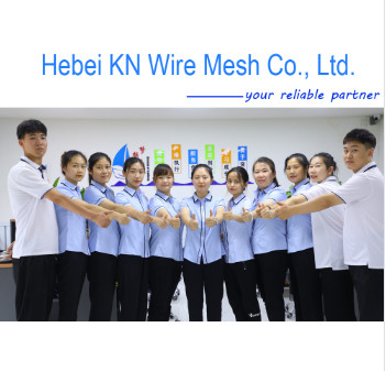 PVC Coated Galvanized Wire Mesh Gabion Box 1*1*1 M Green For Rock Fall Protection
