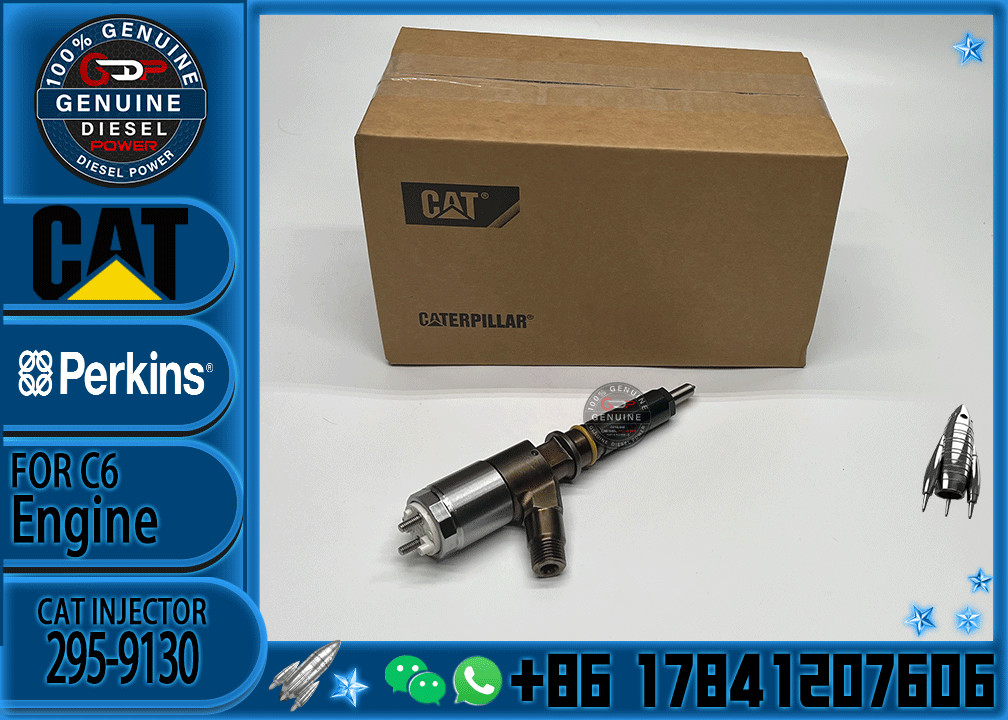Common Rail C6 Diesel Engine Fuel Injector 317-2300 326-4700 295-9130 10R7675