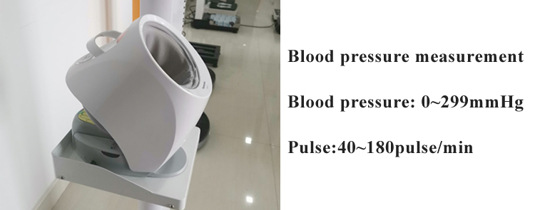 SH - 600GX Foldable Height Weight BMI Blood Pressure Machine Usb Balance Blood