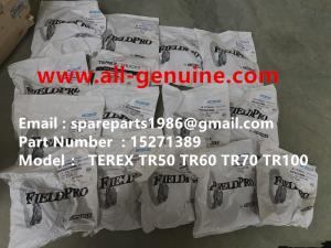 Quality TEREX 15271389 BRAKE SEAL KIT SKF FAG KOYO CUMMINS QUARRY NHL RIGID DUMP TRUCK TR35 TR50 TR60 TR100 3303 3305B 3307 3311 wholesale
