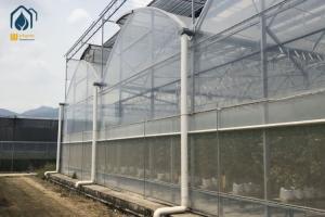 Quality Vegetables Multi Span Agricultural Greenhouse Plant Plastic Film Greenhouse wholesale