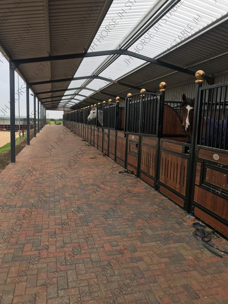 Black Powder Coated Bamboo Pine Q235 Horse Stall Fronts