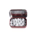 Wholesale Candy Tins Wintergreen Mint Tin Box Small Candy Tin Case