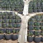 Green Geocell Gravel Grid for Parking Lot Soil Stabilization and Driveway