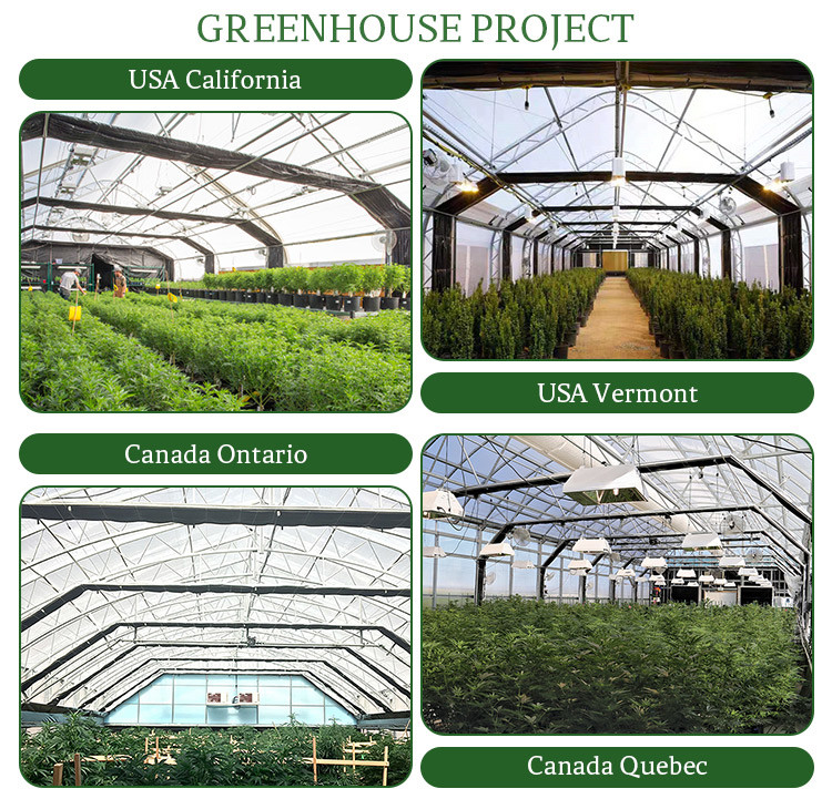 Agricultural Curtain Fabric Blackout Greenhouse Automatic Control Light Deprivation Greenhouse