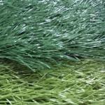 Stadium Football Synthetic Grass Mono Filament Yarn S Shape ISO9001