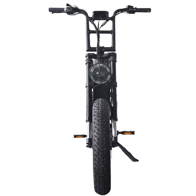 1000W Dual Battery Step Through Electric Retro Motorcycle Fat Bike with 80-90 Nm Torque