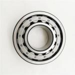 BC1-738A Nj206 Nj208 Nj210 Cylindrical Roller Bearing