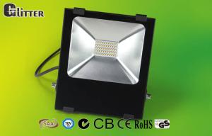 Quality EMC3030 50/60HZ LED Flood Light 90lm/w ERP LED 5 Years warranty wholesale