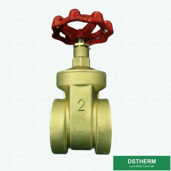 Cheap Flexible Ppr Coated Brass Gate Valve With Plastic Part 2 Inch for sale