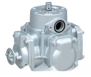 Quality RSJ-50 Fuel Meter for Diesel or Gasoline wholesale