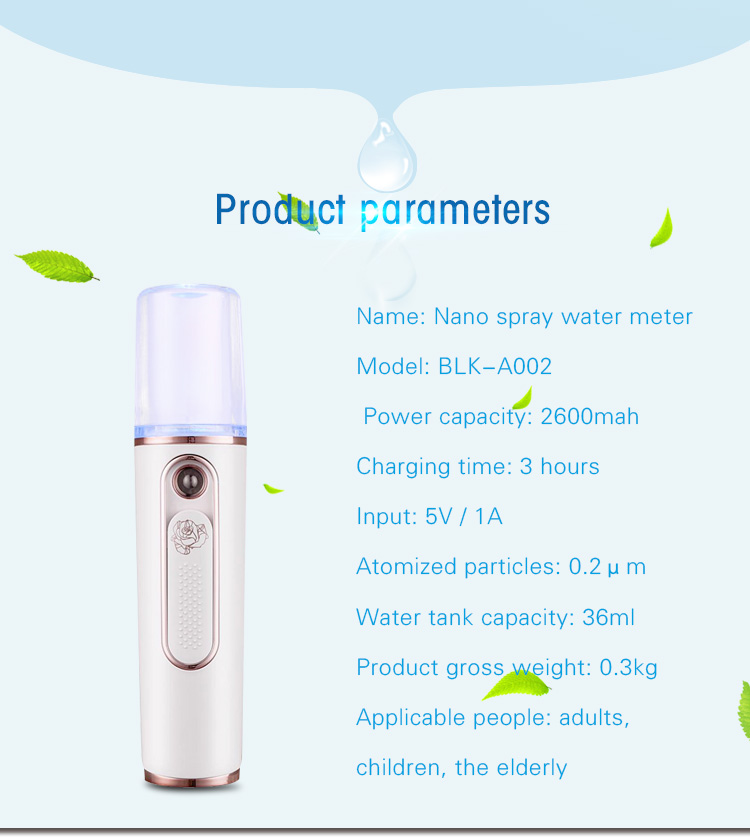 Dry Skin Facial Beauty Device Moisture Sonic Water Atomization Nano Mist Sprayer