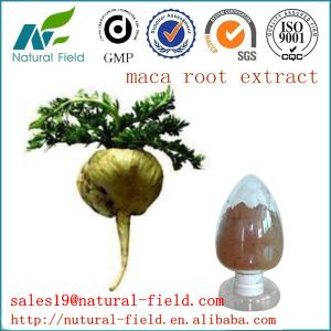 Quality Top quality maca extract with factory price wholesale