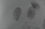 C095 Gray fingerprint powder