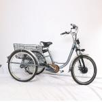 Adult 3 Wheel Electric Tricycle 48V 250W Motor Three Wheel Electric Cargo Bike