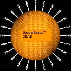 Quality Agarose DEAE Magnetic Beads 30μm 10% Volume Ratio 1000 mL wholesale