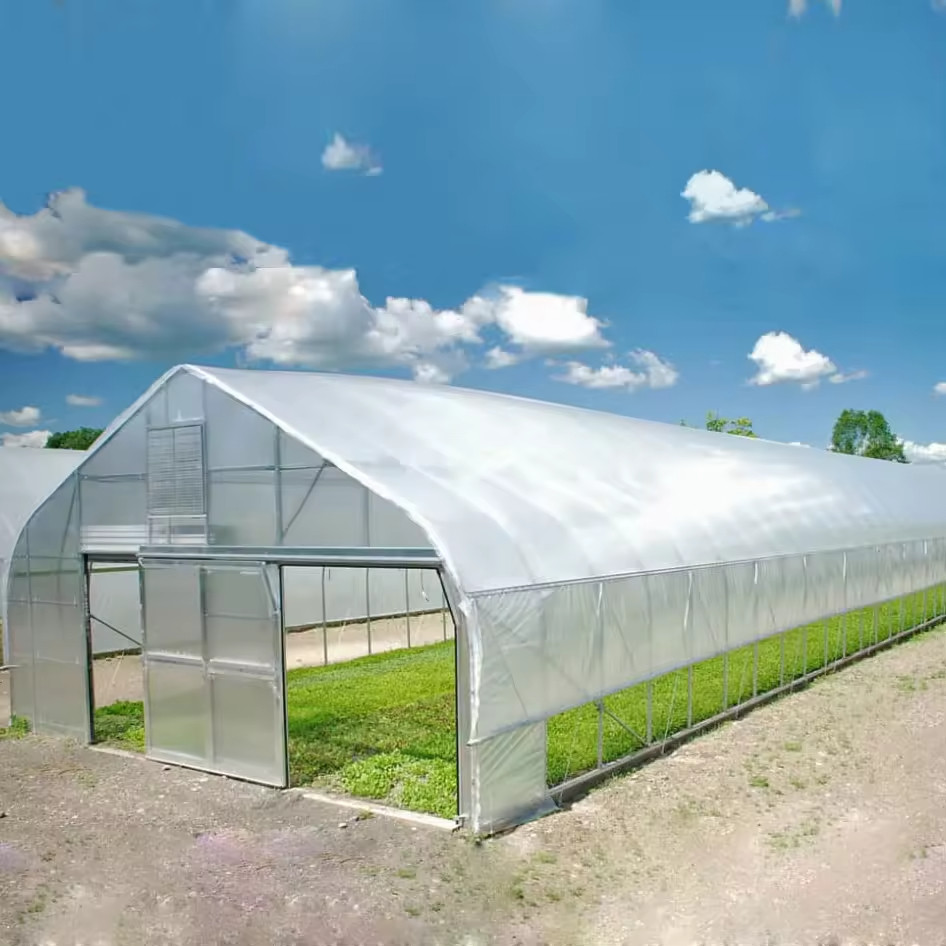 Single Span Commercial Polytunnel Plastic Film Greenhouse Farming