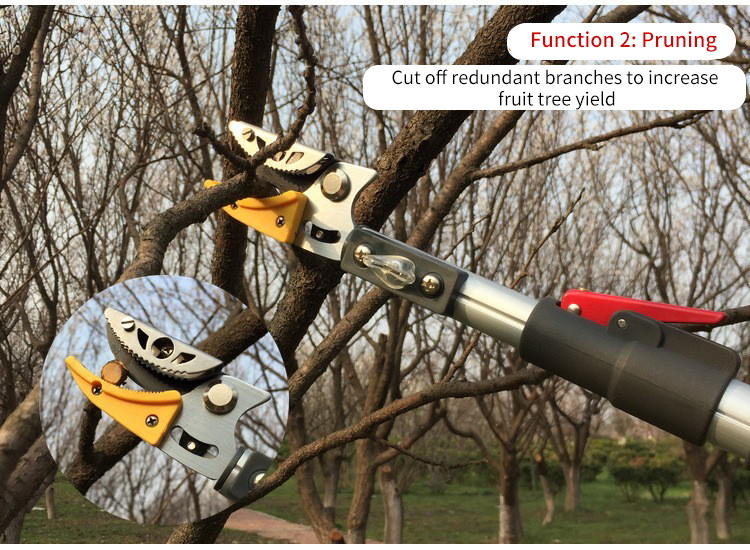 Telescopic Long Hand High Reach Tree Loppers Garden Trimming Scissors 350G