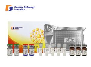 Quality Customized Canine ELISA Kits 96 Well Plate Cystatin C ELISA Assay Kit With High Sensitivity / Specificity wholesale
