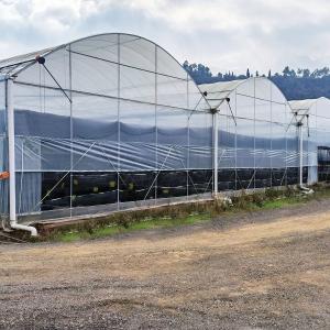 Quality Rolling Bench Vegetable High Tunnel Greenhouse Steel Frame Hydroponics Large Span Greenhouse wholesale